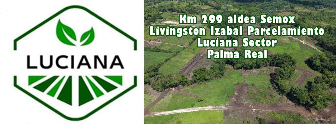 Parcelamineto Luciana