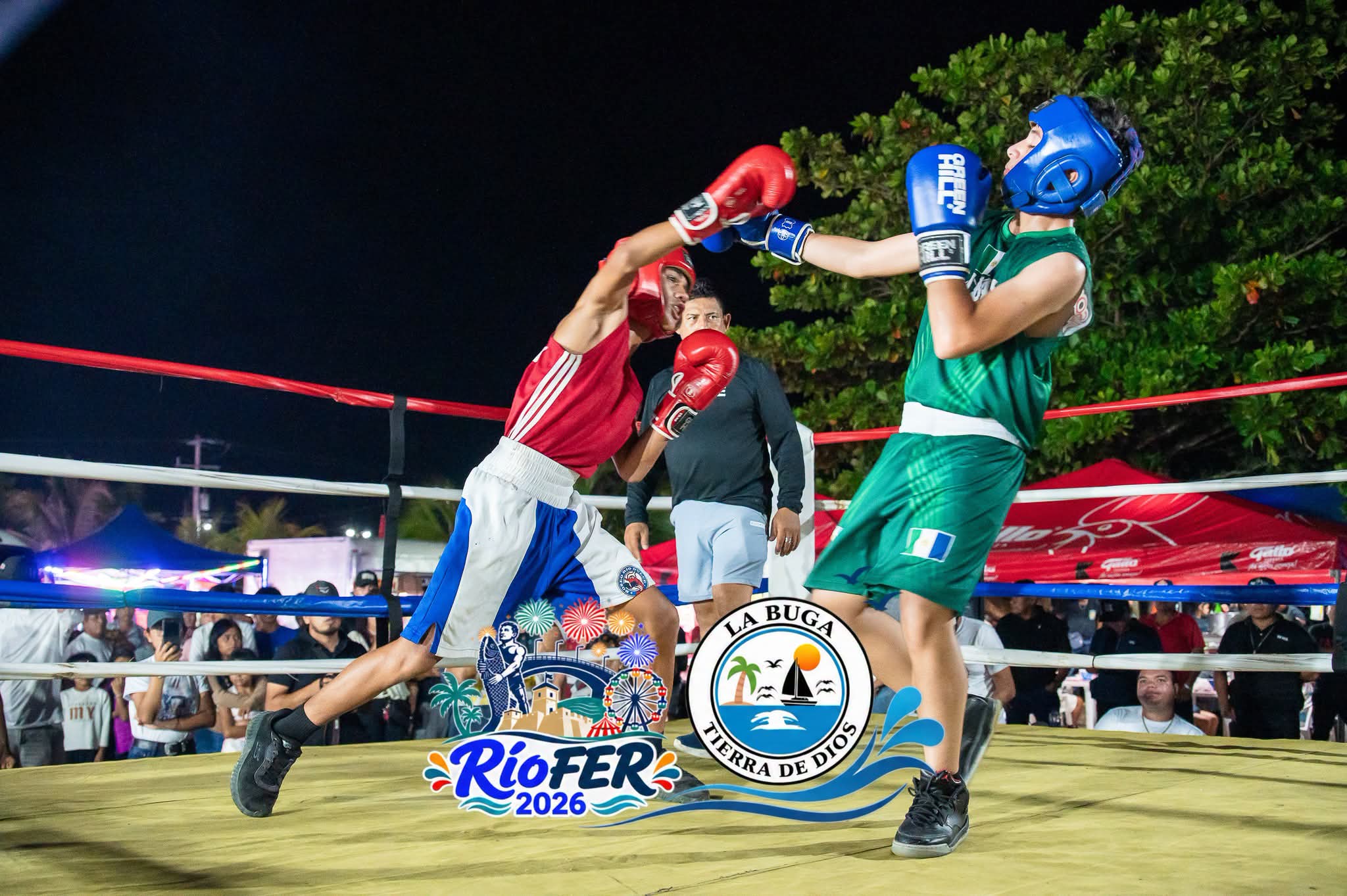 Actividad de Boxeo