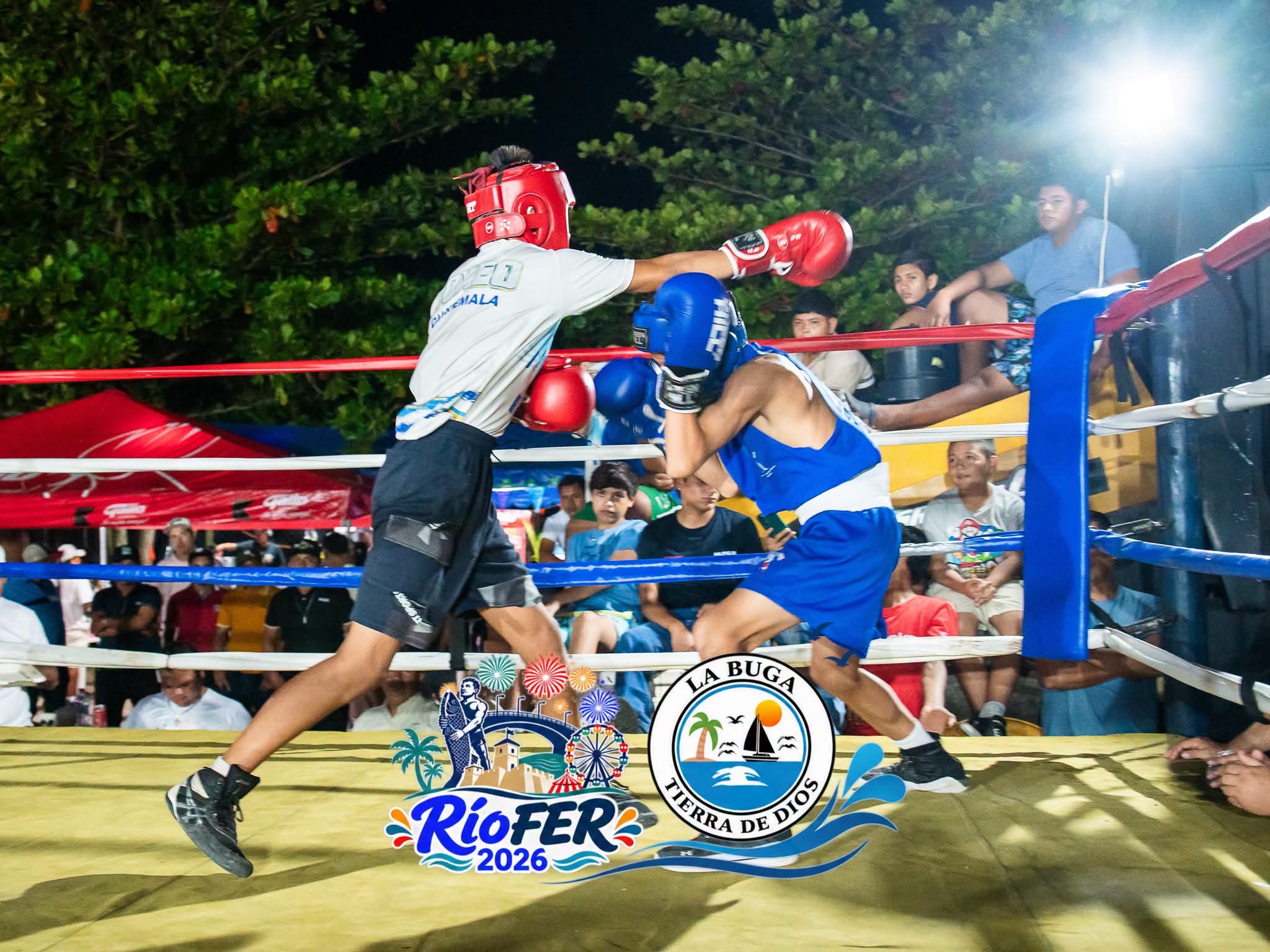 Actividad de Boxeo