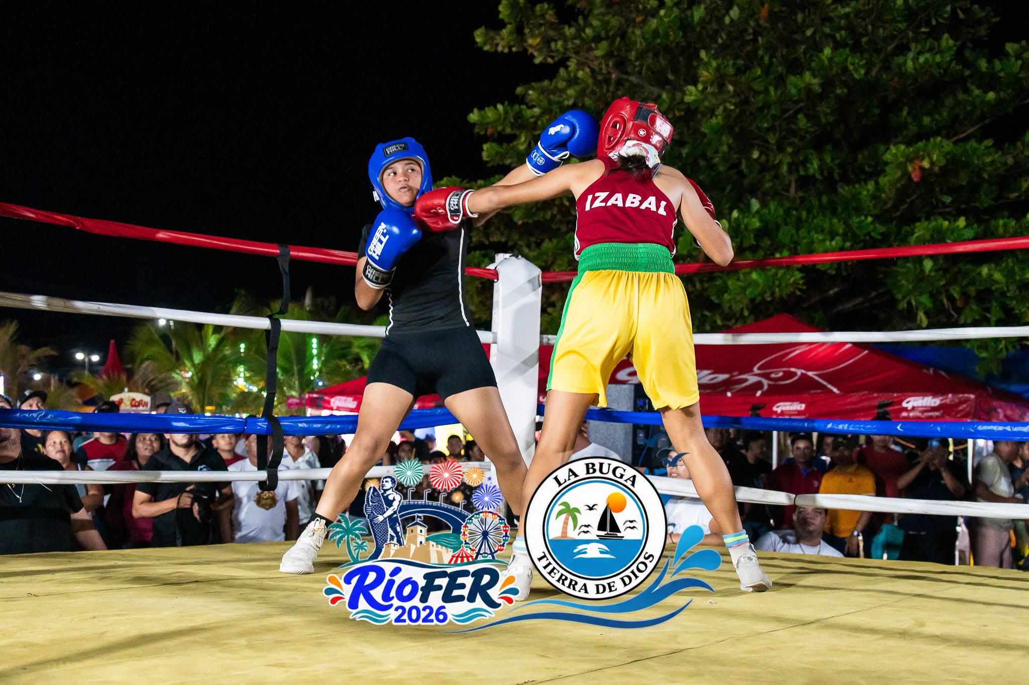 Actividad de Boxeo