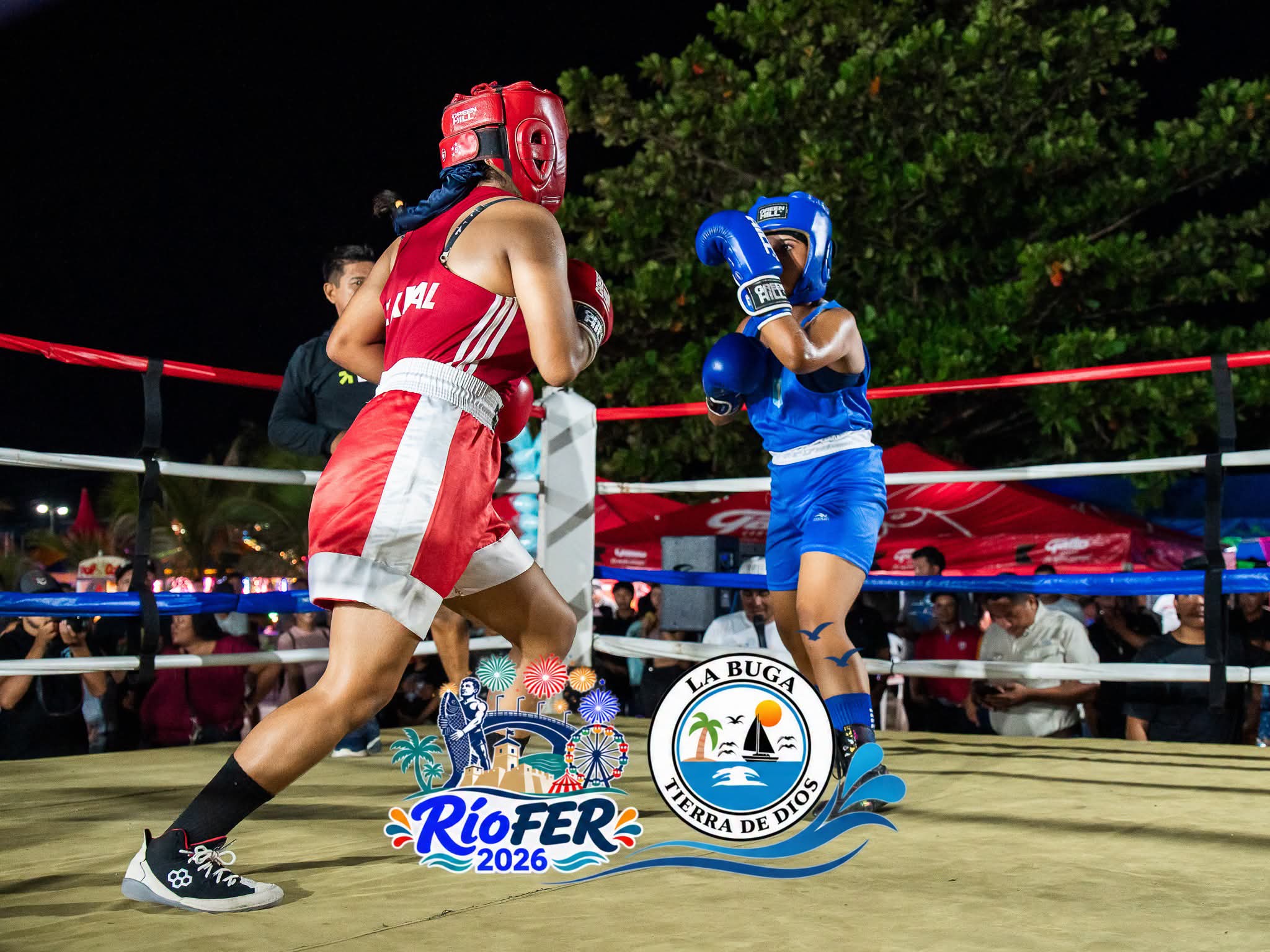 Actividad de Boxeo