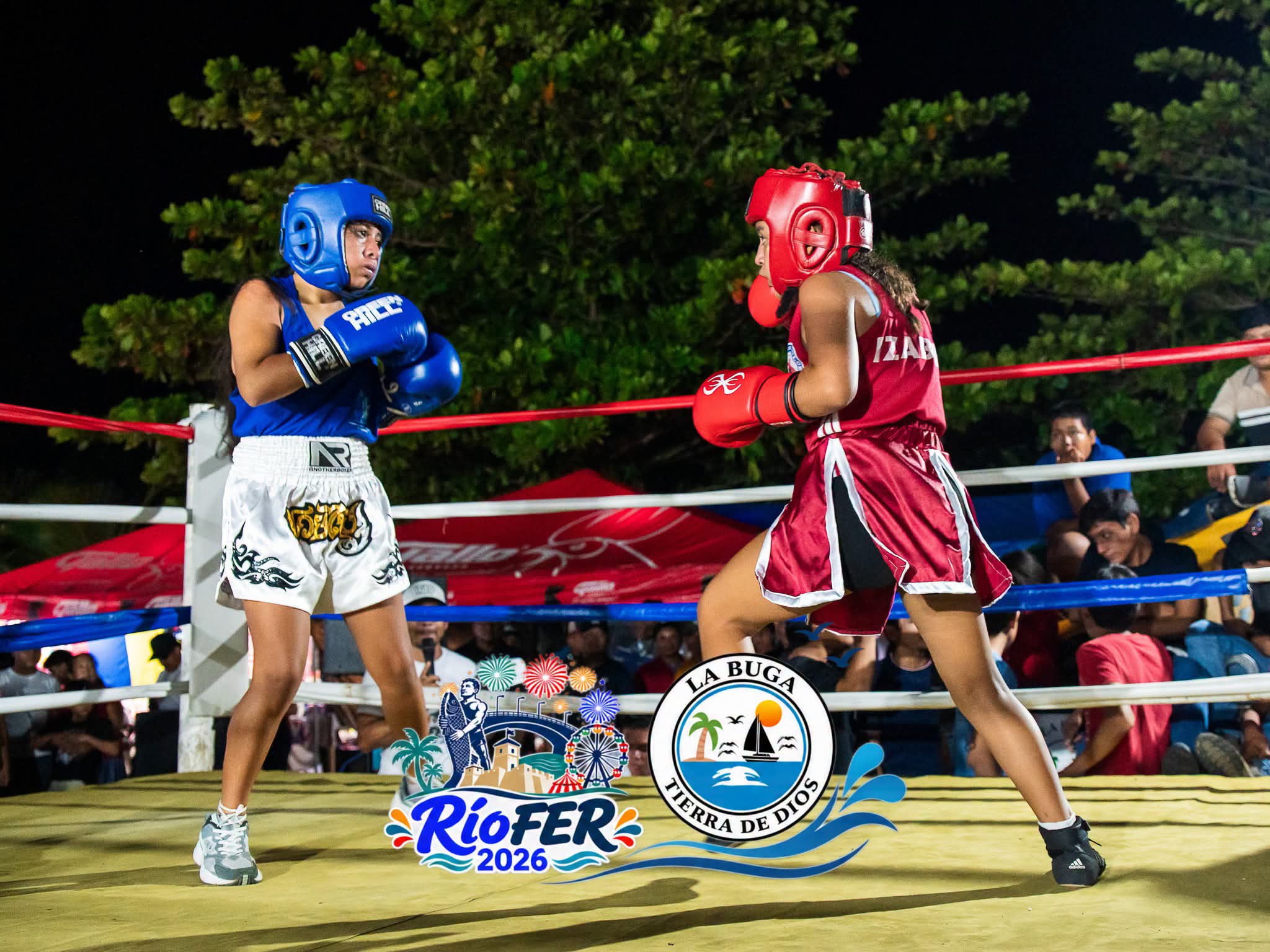 Actividad de Boxeo