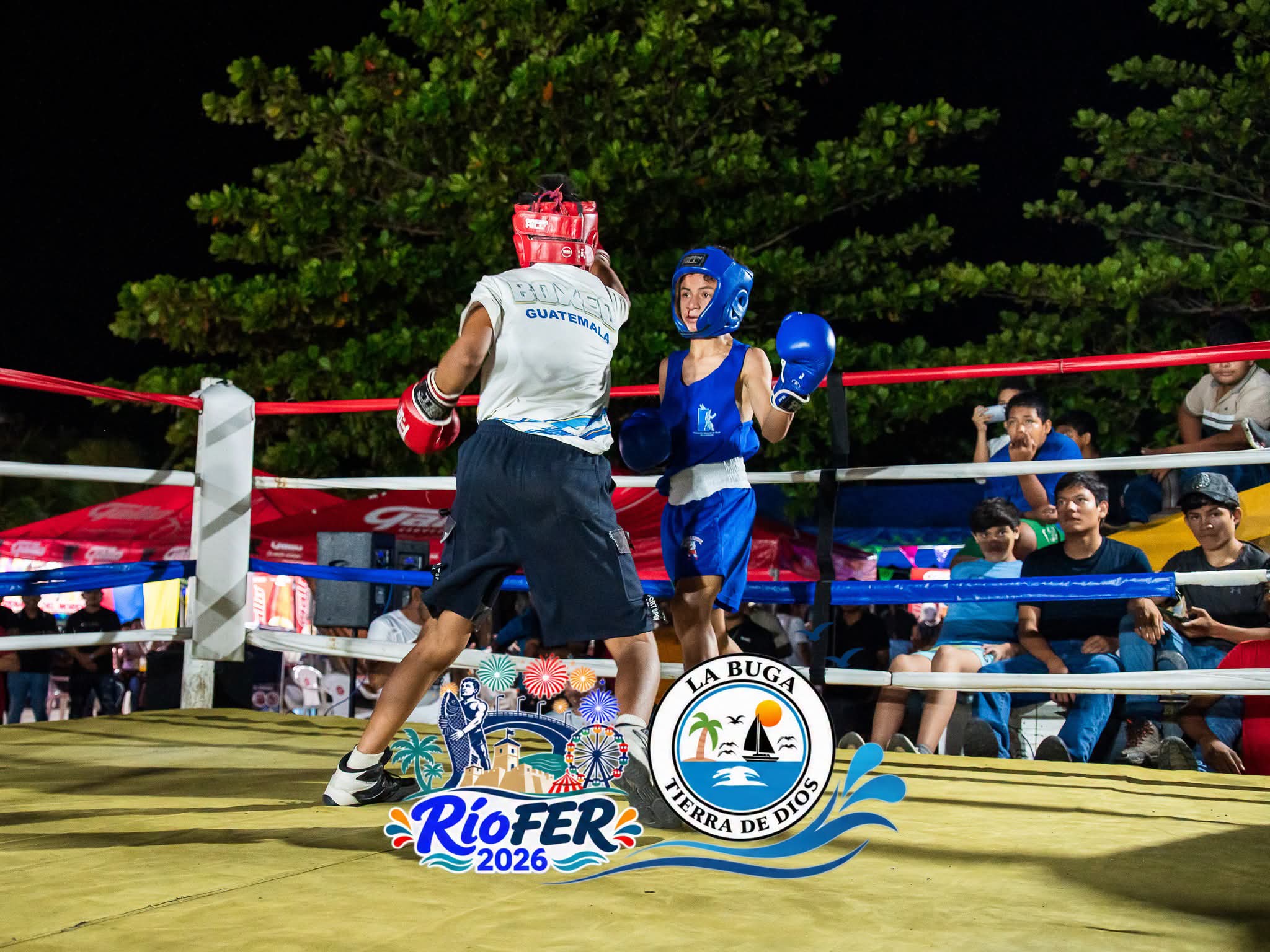 Actividad de Boxeo