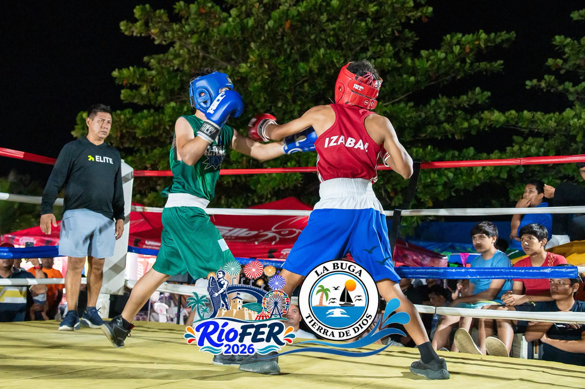 Actividad de Boxeo