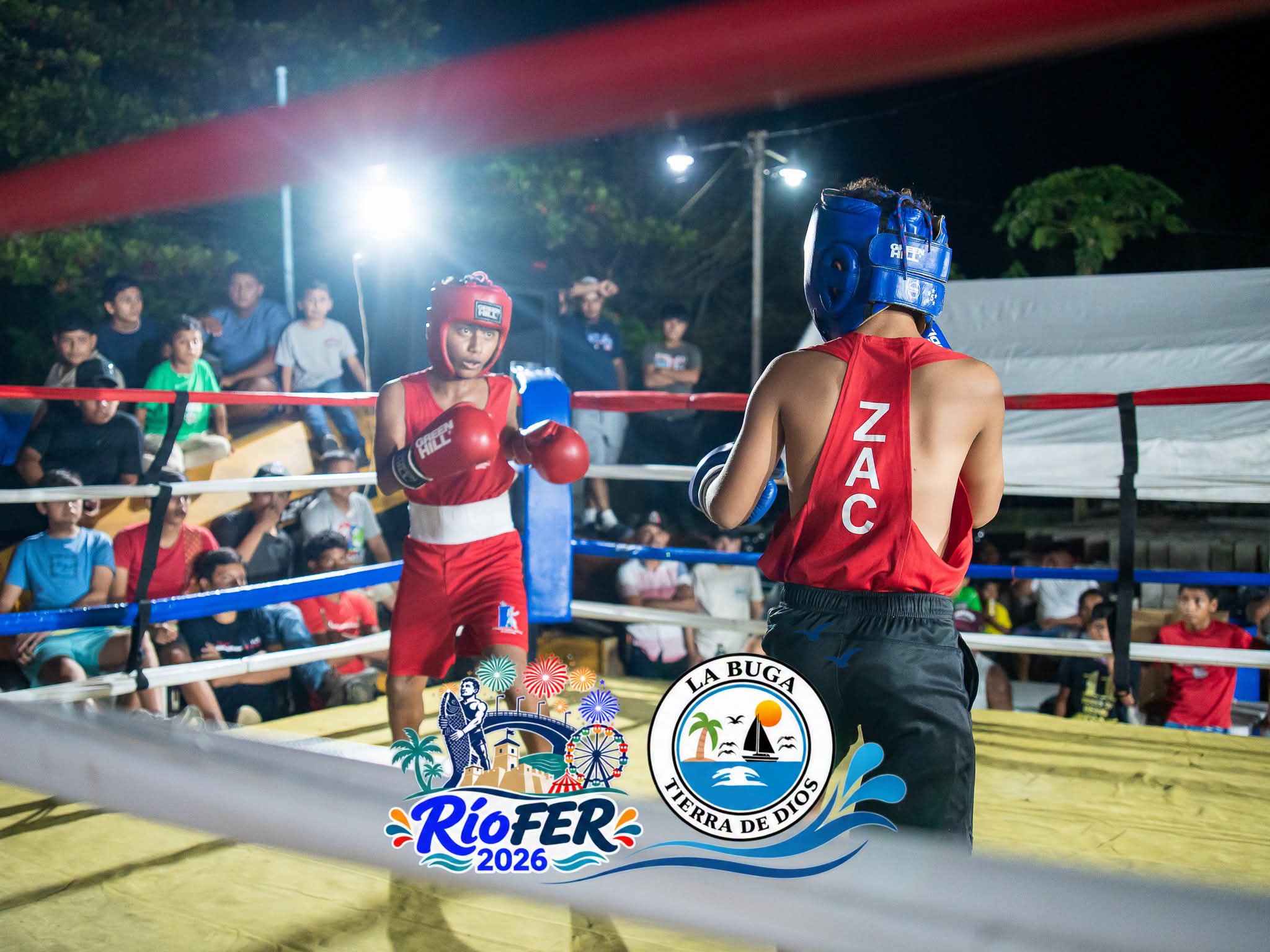 Actividad de Boxeo