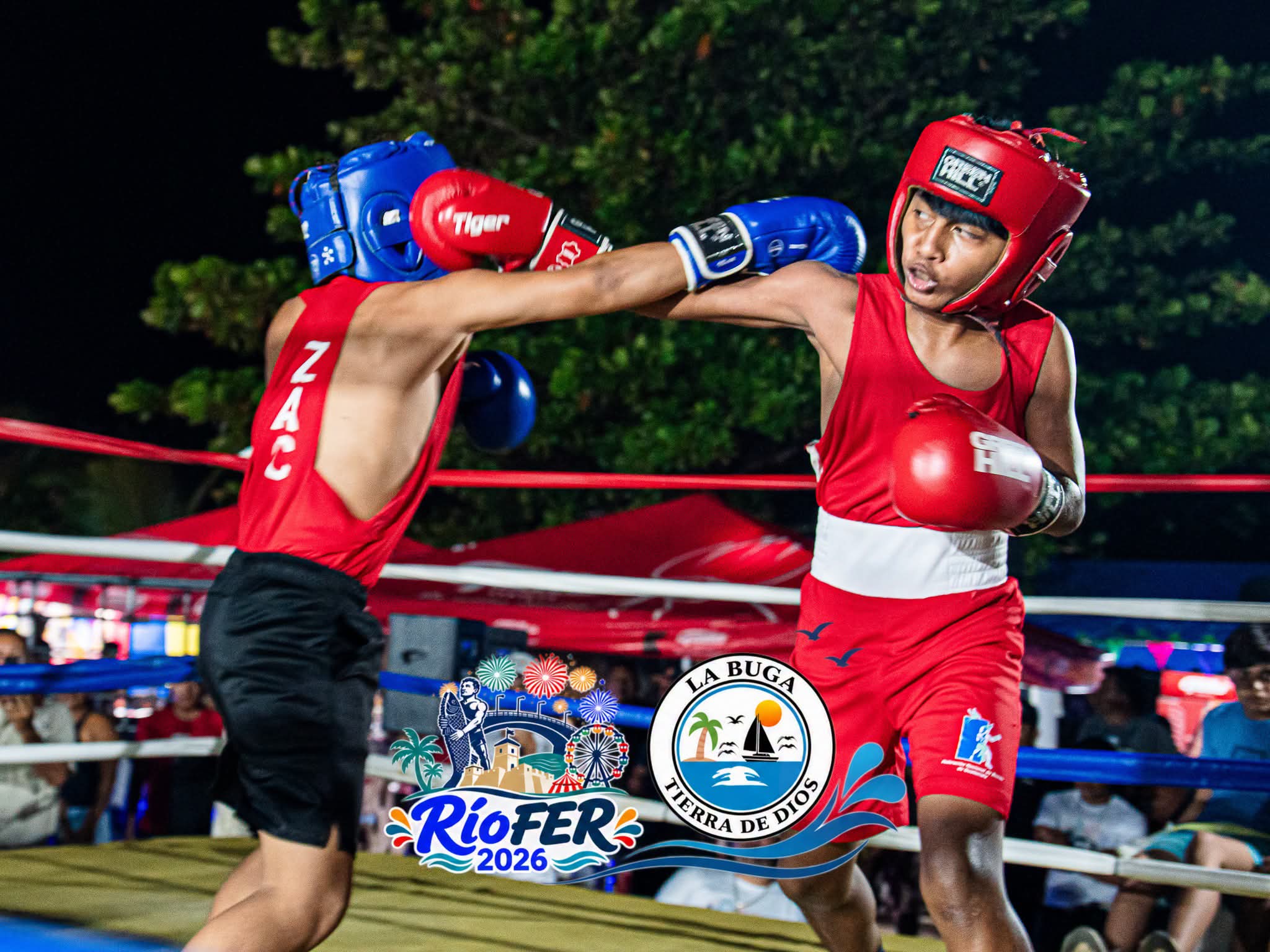 Actividad de Boxeo