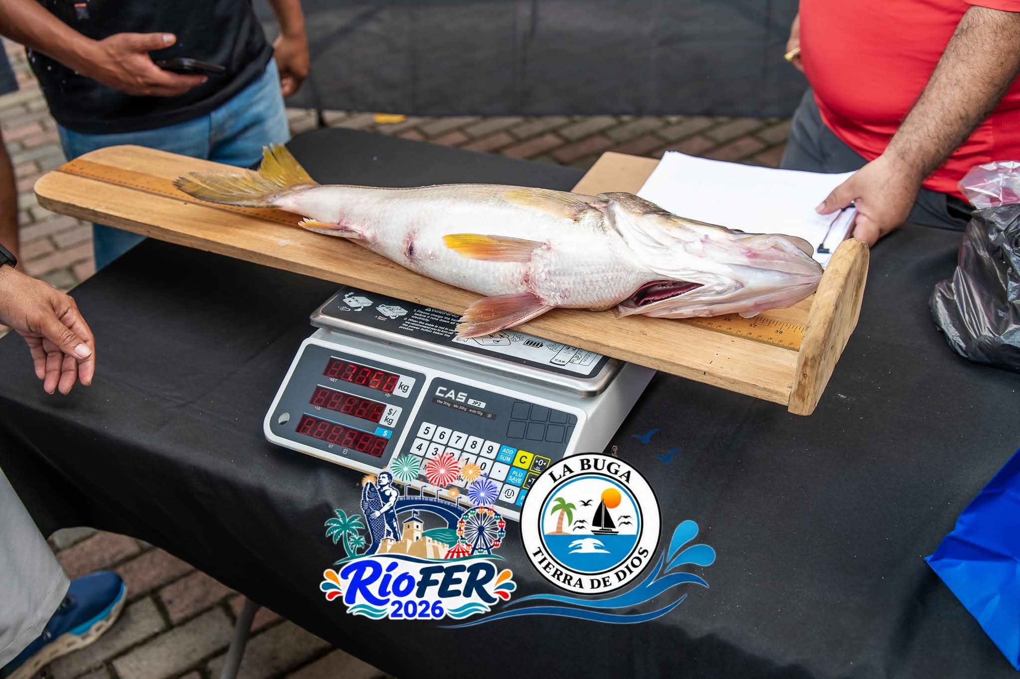 Festival del Robalo