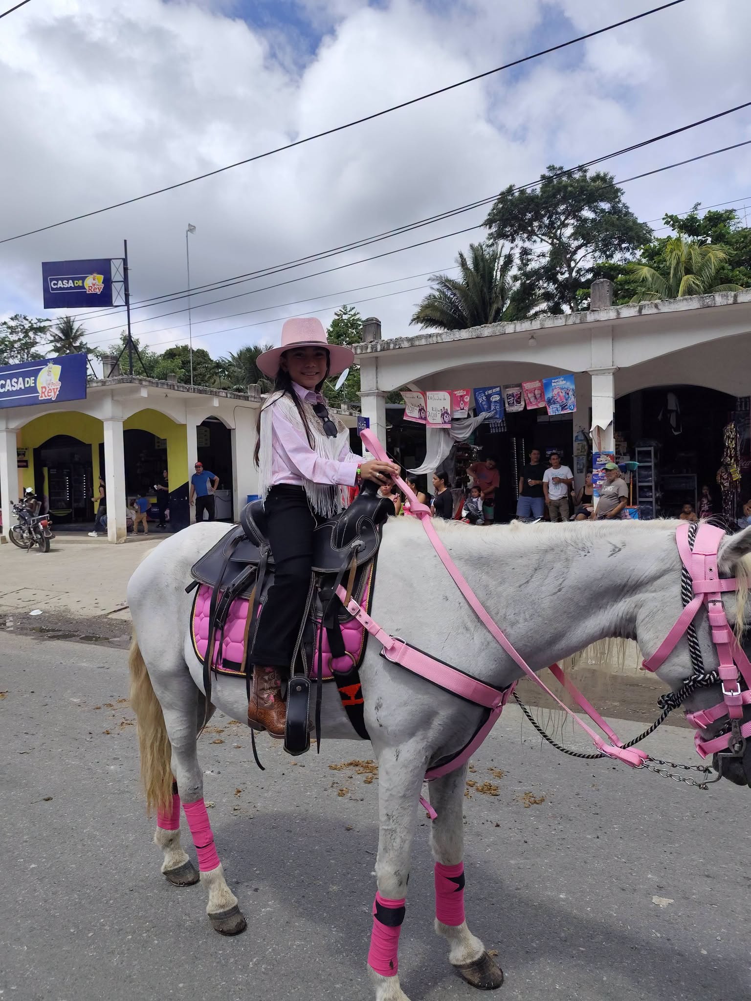 La belleza en el desfile hípico