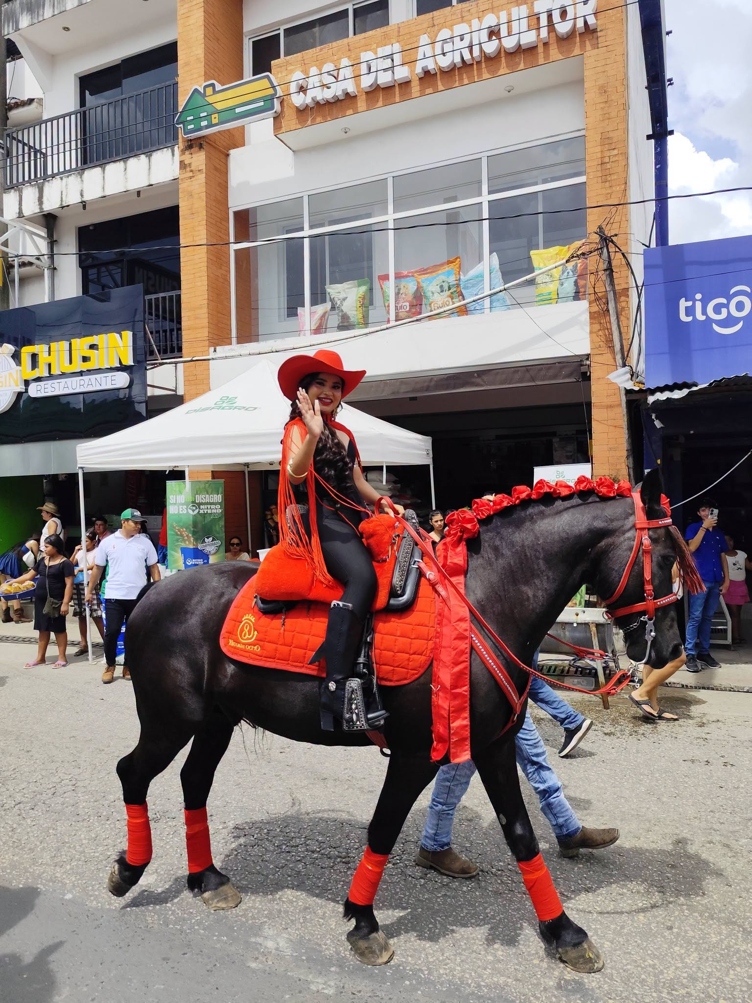 La belleza en el desfile hípico