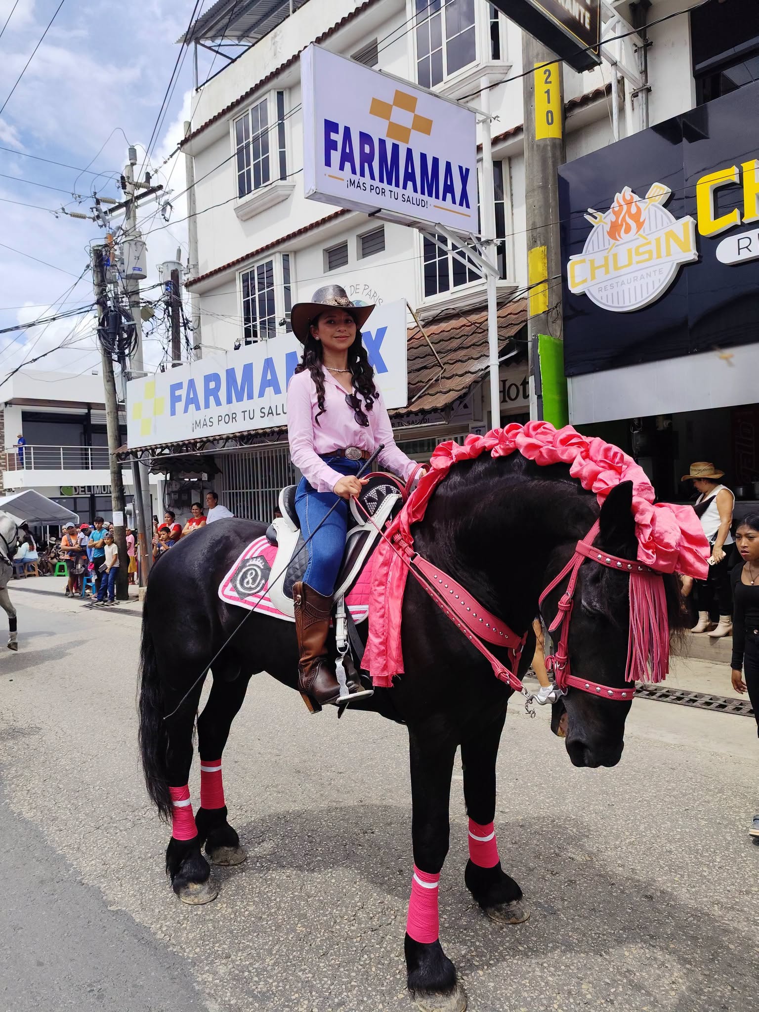 La belleza en el desfile hípico